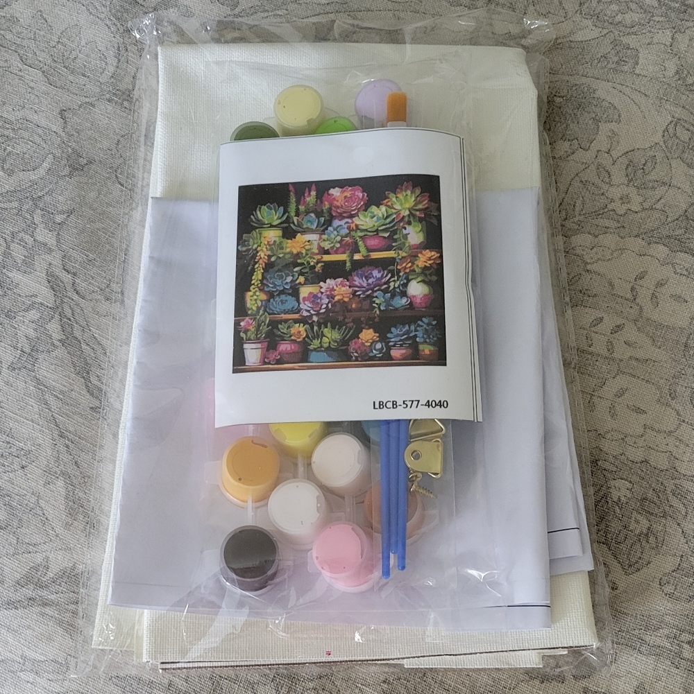 DIY Paint by Numbers Succulent Kit Brand New Adult
